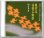 画像1: CD 観世流 謡曲名曲撰（七）船弁慶 (1)