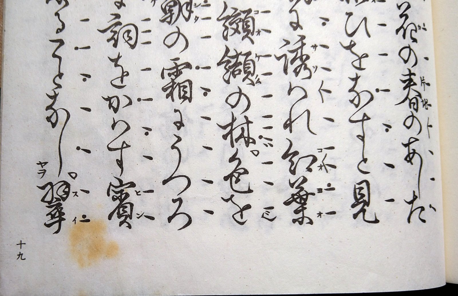 画像3: 宝生流謡本 江口