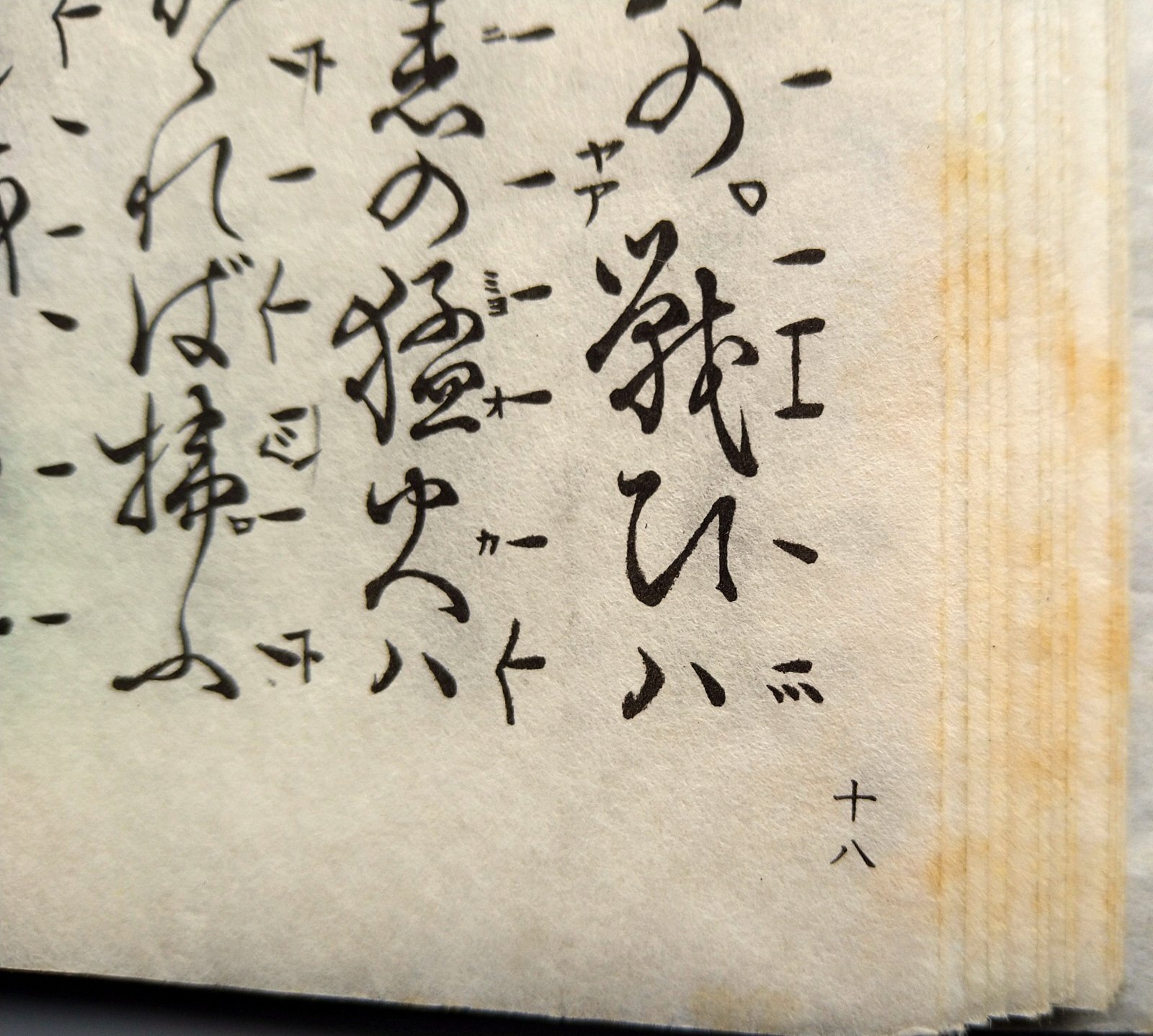 画像2: 宝生流謡本 経政