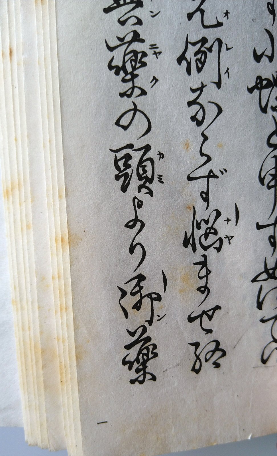 画像3: 宝生流謡本 土蜘